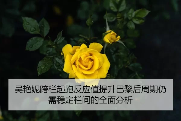 吴艳妮跨栏起跑反应值提升巴黎后周期仍需稳定栏间的全面分析