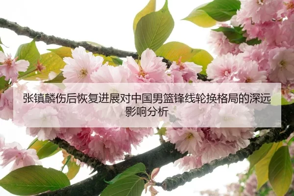 张镇麟伤后恢复进展对中国男篮锋线轮换格局的深远影响分析
