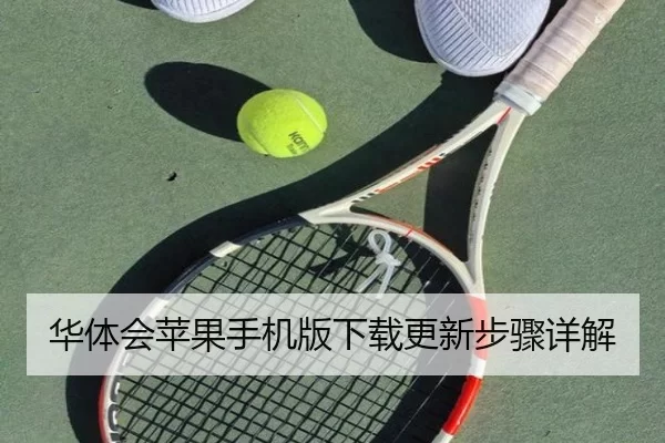 华体会苹果手机版下载更新步骤详解