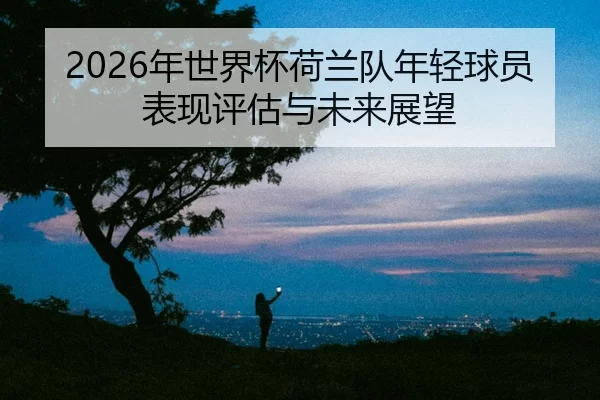 nian-shi-jie-bei-he-lan-dui-nian-qing-qiu-yuan-biao-xian-ping-gu-yu-wei-lai-zhan-wang-2-939.jpg