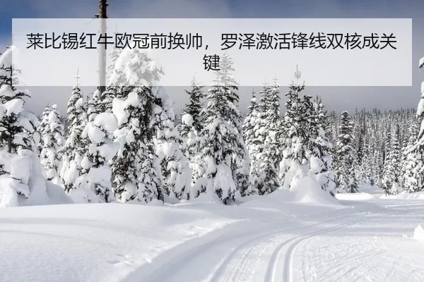 莱比锡红牛欧冠前换帅，罗泽激活锋线双核成关键