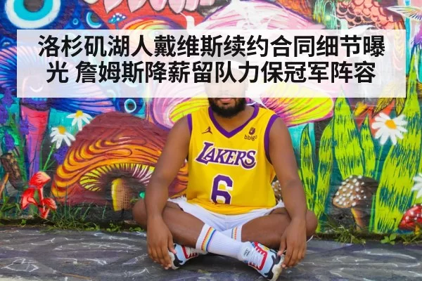 洛杉矶湖人戴维斯续约合同细节曝光 詹姆斯降薪留队力保冠军阵容