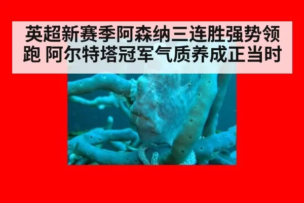 英超新赛季阿森纳三连胜强势领跑 阿尔特塔冠军气质养成正当时